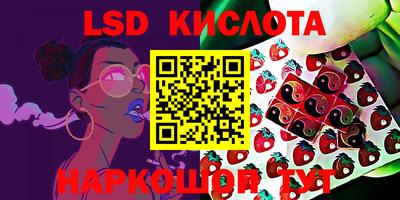 спиды Будённовск