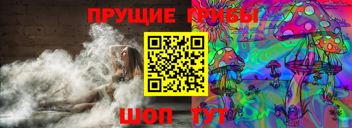 Кохма  Псилоцибиновые грибы Magic Shrooms  Вход с VPN 